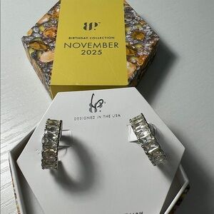 BP November Birthday 2025 The Path The Light Took Hoops ER63681 - Bomb Party